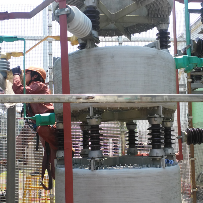 龍巖220kV赤水變電站10kV電容器Ⅰ、Ⅲ組支柱瓷瓶，全封閉干式放電線圈，串聯(lián)電抗器-（透明防污閃涂料）